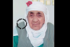 Hüsnügül Bozdemir