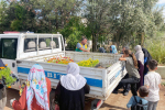 Kızıltepe Belediyesi-Mezarlık-Mevsimlik Çiçek-