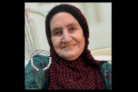 Zübeyde Özer