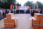 arı kovan-1