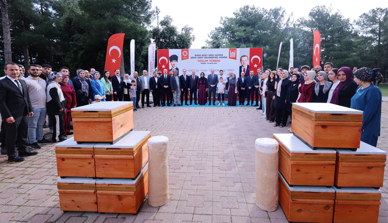 arı kovan-1