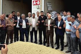 arpa hasadı-2