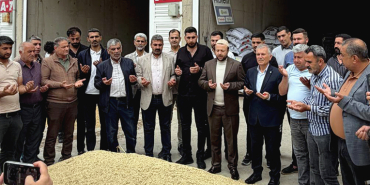 arpa hasadı-2