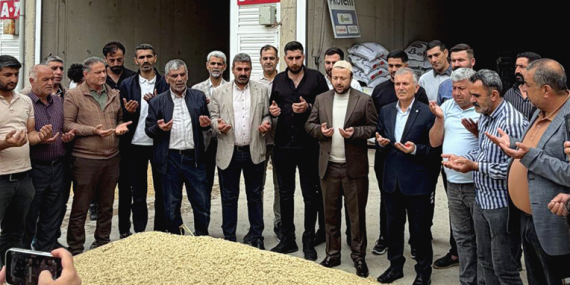 Mardin ovasında sezonun ilk arpa hasadı yapıldı