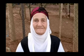 Ayşe Yaman