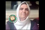 Dılşah Yavuz