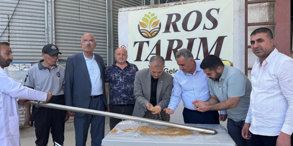 Mardin Ovasında sezonun ilk buğday hasadı yapıldı