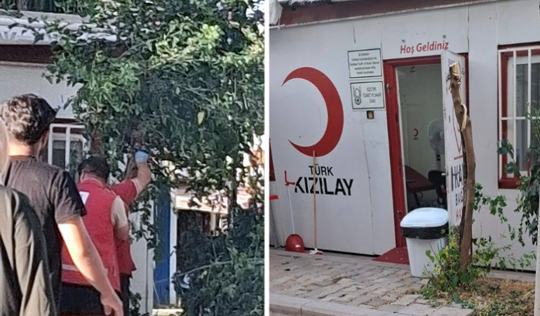 Meydanda yapılan ağaç kesimine tepki