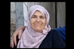 Mülkiye Irmak