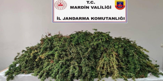 Kızıltepe’de 43 Kg. Skunk maddesi ele geçirildi
