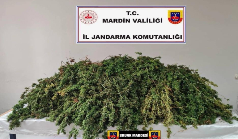 Kızıltepe’de 43 Kg. Skunk maddesi ele geçirildi